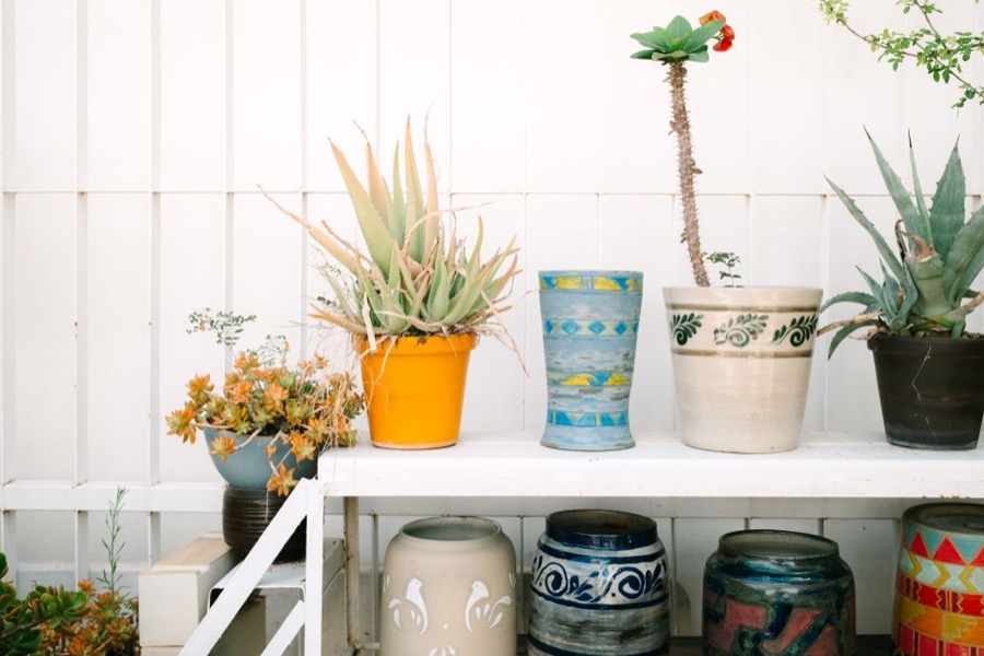 Ceramic plant pot