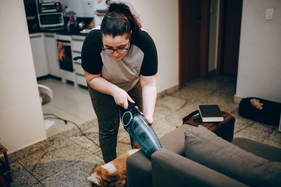 Pet hair remover
